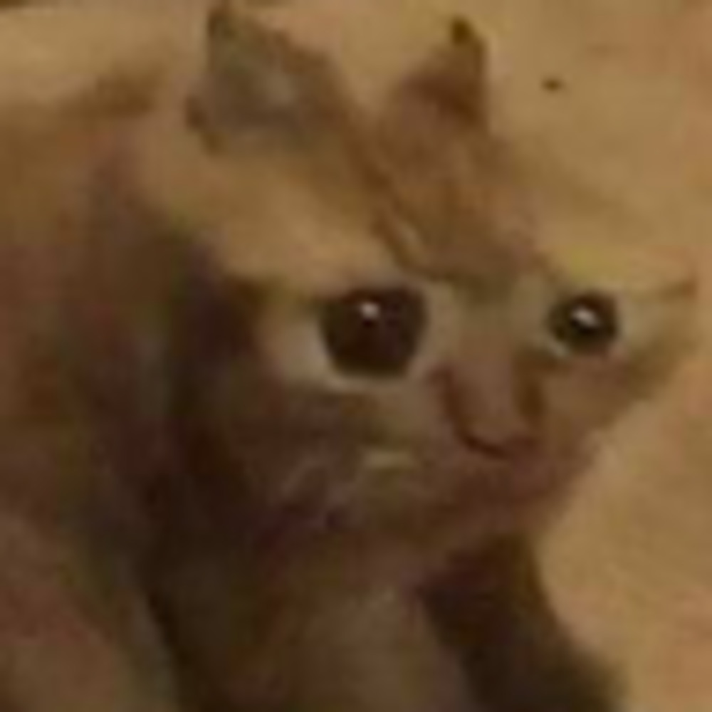 Meet your Posher, Juan